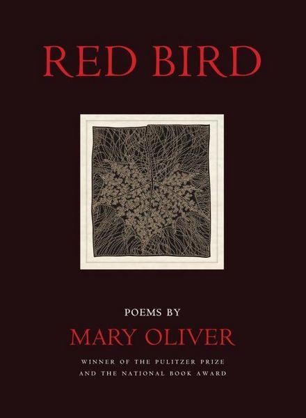 Produktbild: Red Bird