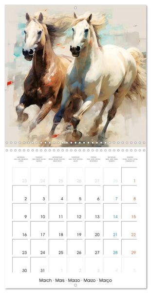 Produktbild: &Eacute;l&eacute;gance &eacute;quine (Calendrier mural carr&eacute; 2026 30x30 cm) Calendrier double avec une page pour vos prises de notes