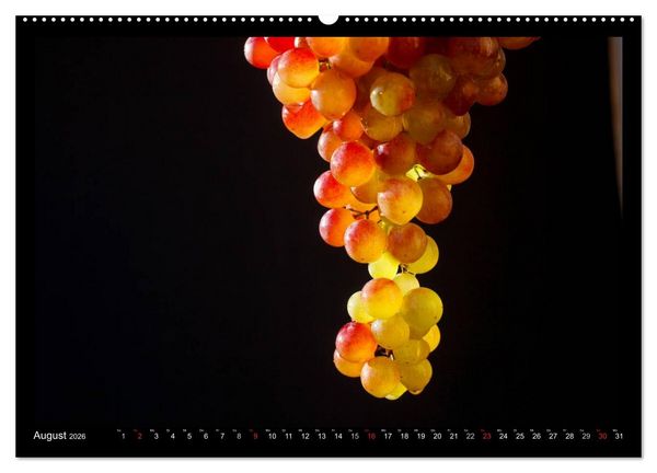 Produktbild: Wein (Wandkalender 2026 DIN A2 quer), CALVENDO Monatskalender