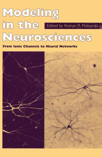 Produktbild: Modeling in the Neurosciences