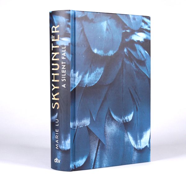 Produktbild: Skyhunter &ndash; A Silent Fall