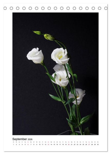 Produktbild: Poesie wei&szlig;er Bl&uuml;ten (Tischkalender 2026 DIN A5 hoch), CALVENDO Monatskalender