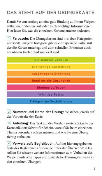 Produktbild: Welpen-Starter-Box