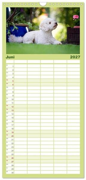 Produktbild: Familienplaner 2027 - Pudel mit 5 Spalten (Wandkalender, 21 x 45 cm) CALVENDO
