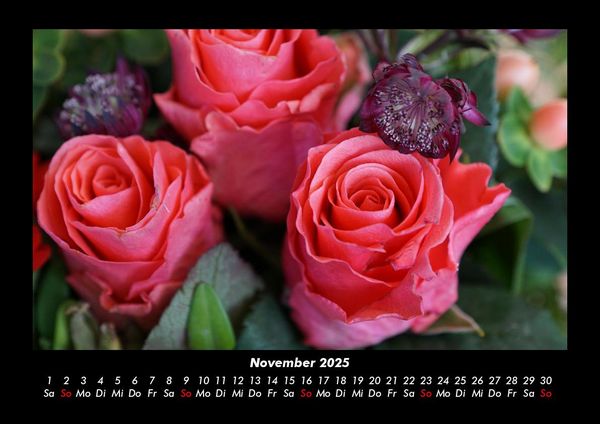 Produktbild: Rosen-Kalender 2025 Fotokalender DIN A3