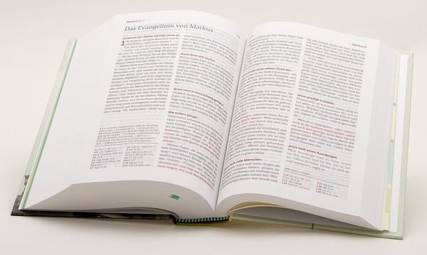 Produktbild: Neues Leben. Die Bibel f&uuml;r Teens