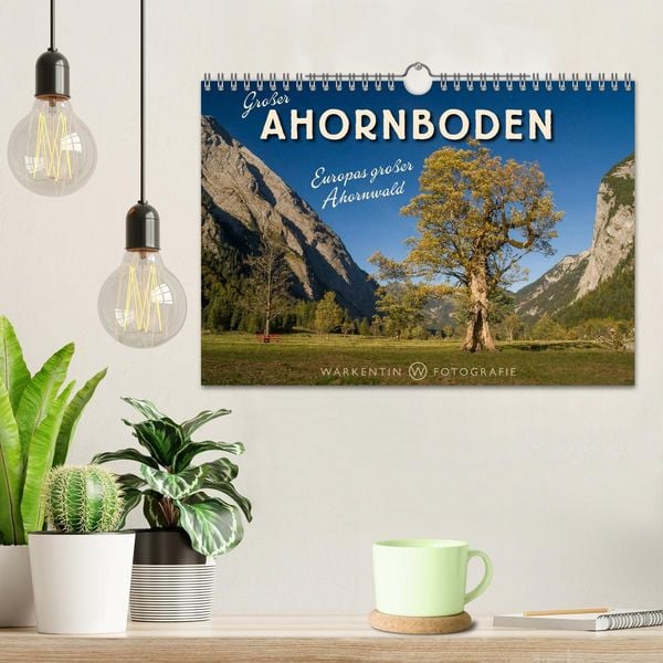 Produktbild: Gro&szlig;er Ahornboden - Europas gro&szlig;er Ahornwald (Wandkalender 2026 DIN A4 quer), CALVENDO Monatskalender