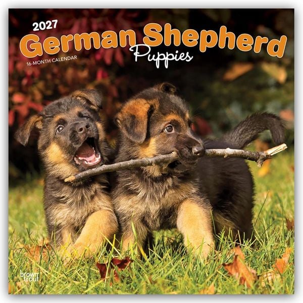 Produktbild: German Shepherd Puppies &ndash; Deutsche Sch&auml;ferhund Welpen 2027 &ndash; 16-Monatskalender
