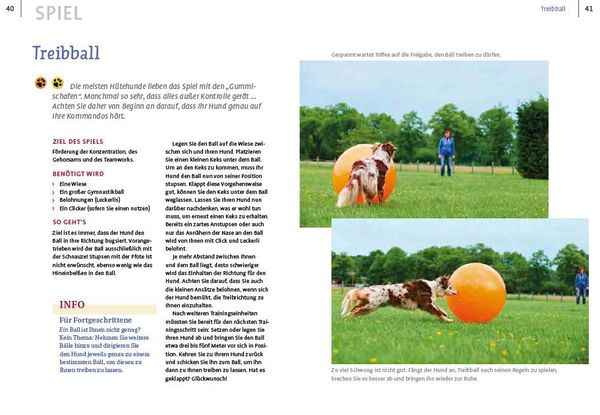 Produktbild: Spiele und Action f&uuml;r ausgeglichene H&uuml;tehunde