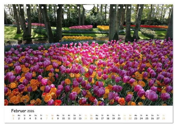 Produktbild: Auf Tour im Land der Tulpen (Wandkalender 2026 DIN A4 quer), CALVENDO Monatskalender