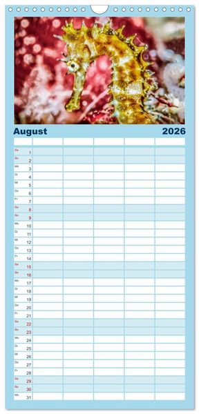 Produktbild: Familienplaner 2026 - Hippocampus oder einfach nur Seepferdchen mit 5 Spalten (Wandkalender, 21 x 45 cm) CALVENDO