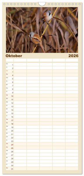 Produktbild: Familienplaner 2026 - V&ouml;gel ganz nah mit 5 Spalten (Wandkalender, 21 x 45 cm) CALVENDO