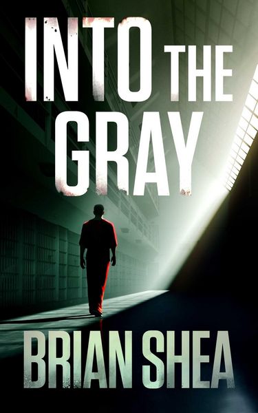 Produktbild: Into the Gray