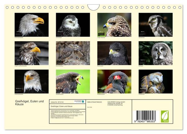 Produktbild: Greifv&ouml;gel, Eulen und K&auml;uze (Wandkalender 2026 DIN A4 quer), CALVENDO Monatskalender