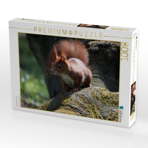 Produktbild: CALVENDO Puzzle Eichh&ouml;rnchen im Licht | 1000 Teile Lege-Gr&ouml;&szlig;e 64x48cm Foto-Puzzle f&uuml;r gl&uuml;ckliche Stunden