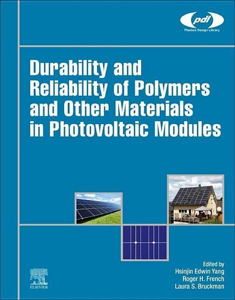 Produktbild: Durability and Reliability of Polymers and Other Materials i