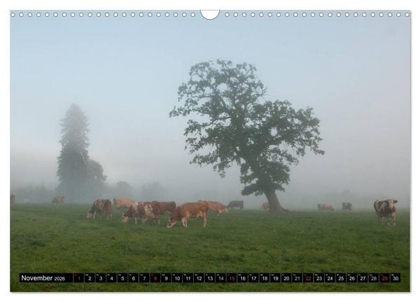 Produktbild: Alpenfleckvieh (Wandkalender 2026 DIN A3 quer), CALVENDO Monatskalender