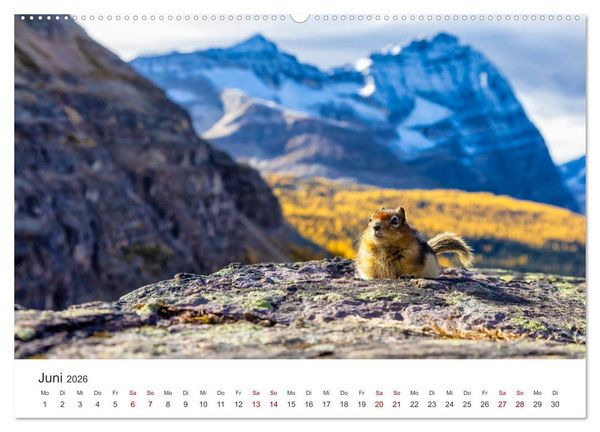 Produktbild: Kanada - Eine Reise durch ein spektakul&auml;res Land. (Wandkalender 2026 DIN A2 quer), CALVENDO Monatskalender
