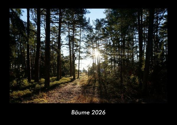 Produktbild: B&auml;ume 2026 Fotokalender DIN A3