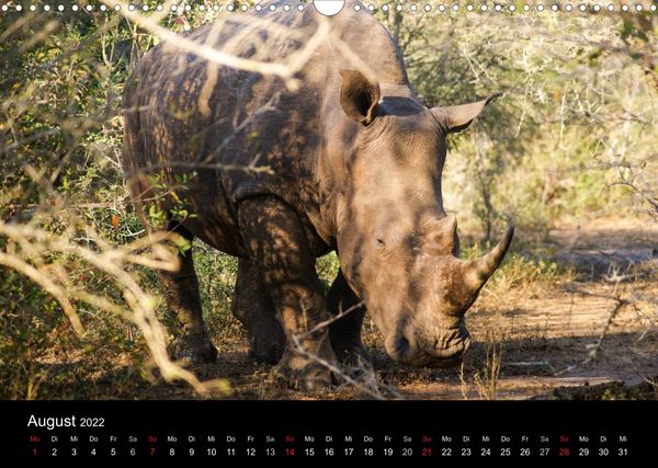 Produktbild: Faszinierendes S&uuml;dafrika / CH-Version (Wandkalender 2022 DIN A3 quer)
