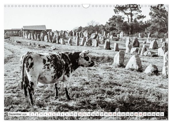 Produktbild: Bretagne Mythen und Steine (Wandkalender 2026 DIN A3 quer), CALVENDO Monatskalender