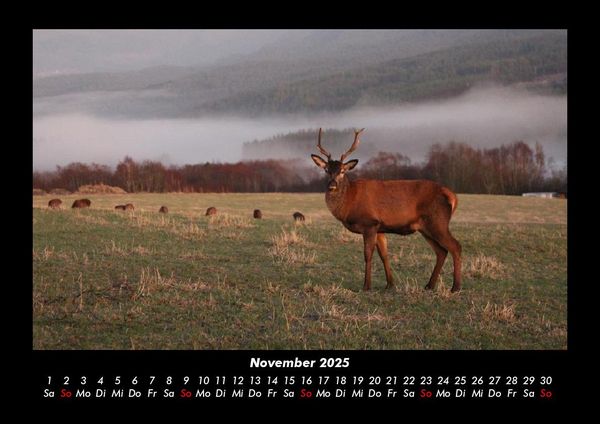 Produktbild: Naturlandschaften 2025 Fotokalender DIN A3