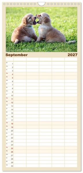 Produktbild: Familienplaner 2027 - Hovawart - nat&uuml;rlich blond mit 5 Spalten (Wandkalender, 21 x 45 cm) CALVENDO
