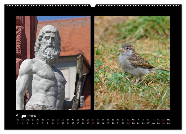 Produktbild: Ulmer Spatzen (Wandkalender 2026 DIN A2 quer), CALVENDO Monatskalender
