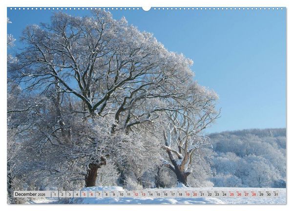 Produktbild: Snow Scenes (High Quality Premium Wall Calendar 2026 DIN A2 landscape),CALVENDO 12 Month Wall Calendar