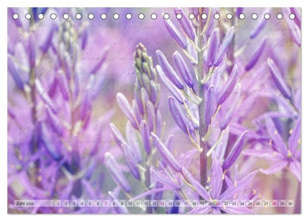 Produktbild: Vintage Nature - Romantische Naturaufnahmen (Tischkalender 2026 DIN A5 quer), CALVENDO Monatskalender