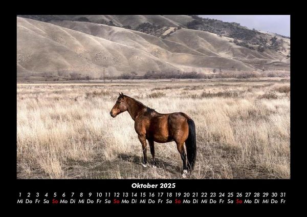 Produktbild: Die Welt der Pferde 2025 Fotokalender DIN A3