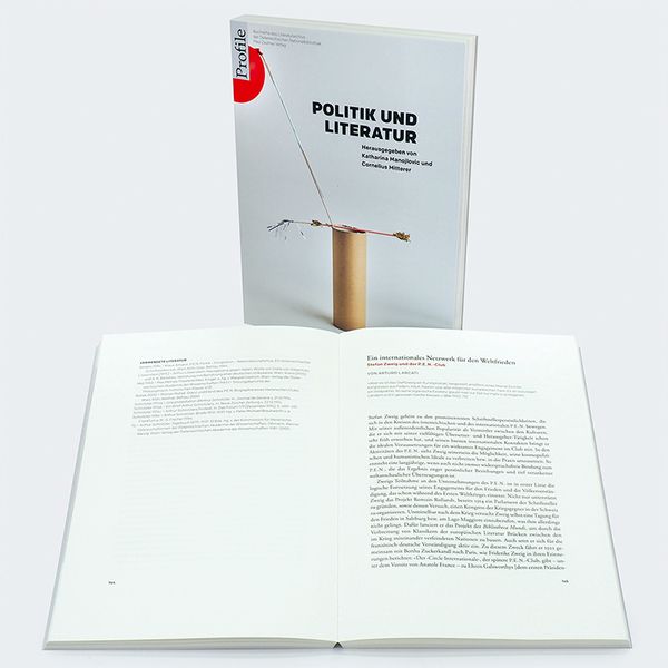 Produktbild: Politik und Literatur