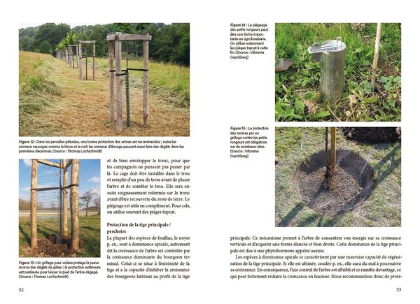 Produktbild: La pratique agroforesti&egrave;re en Suisse