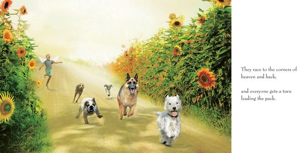 Produktbild: Heaven of Animals