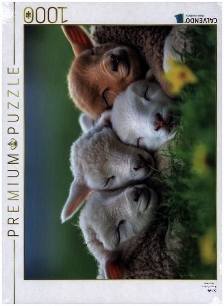 Produktbild: CALVENDO Puzzle Schafe | 1000 Teile Lege-Gr&ouml;&szlig;e 64x48cm Foto-Puzzle f&uuml;r gl&uuml;ckliche Stunden