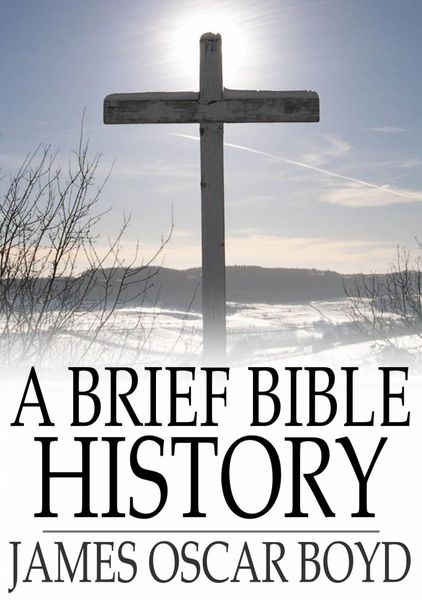 Produktbild: Brief Bible History