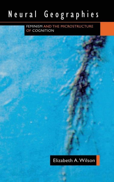 Produktbild: Neural Geographies