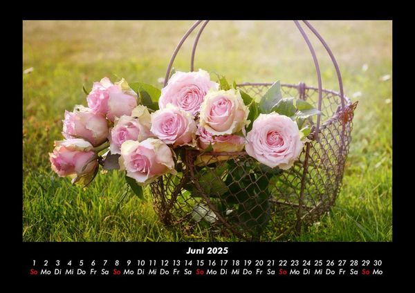 Produktbild: Rosentraum 2025 Fotokalender DIN A3