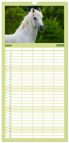 Produktbild: Familienplaner 2026 - Welt der Pferde mit 5 Spalten (Wandkalender, 21 x 45 cm) CALVENDO