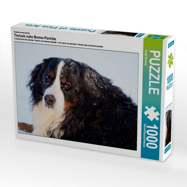 Produktbild: CALVENDO Puzzle Ein Motiv aus dem Kalender Tierisch nahe Berner-Portr&auml;ts | 1000 Teile Lege-Gr&ouml;&szlig;e 64x48cm Foto-Puzzle f&uuml;r gl&uuml;ckliche Stunden