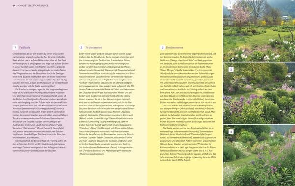 Produktbild: Immerbl&uuml;hende Beete