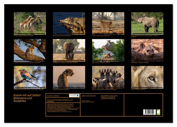 Produktbild: Komm mit auf Safari! Botswana und S&uuml;dafrika (Wandkalender 2026 DIN A2 quer), CALVENDO Monatskalender