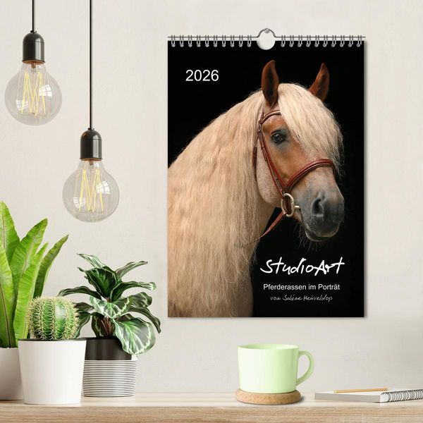 Produktbild: StudioArt Pferderassen im Portr&auml;t (Wandkalender 2026 DIN A4 hoch), CALVENDO Monatskalender