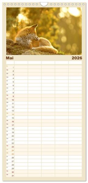 Produktbild: Familienplaner 2026 - Auf den Spuren der Stadtf&uuml;chse mit 5 Spalten (Wandkalender, 21 x 45 cm) CALVENDO