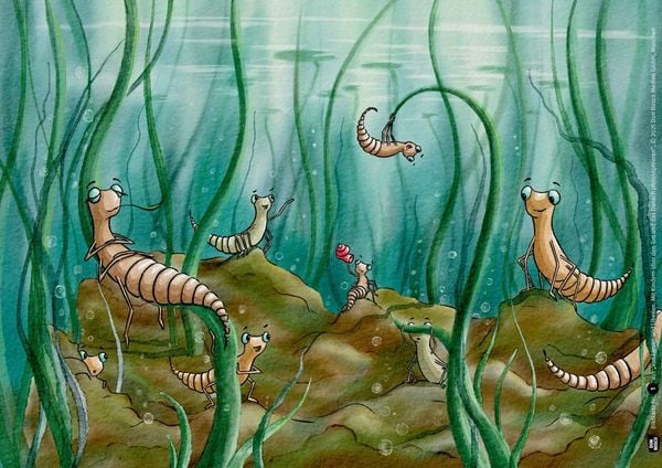 Produktbild: Von Larven und Libellen. Mit Kindern &uuml;ber den Tod und das Danach philosophieren. Kamishibai Bildkartenset