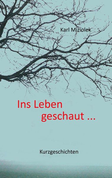 Produktbild: Ins Leben geschaut ...
