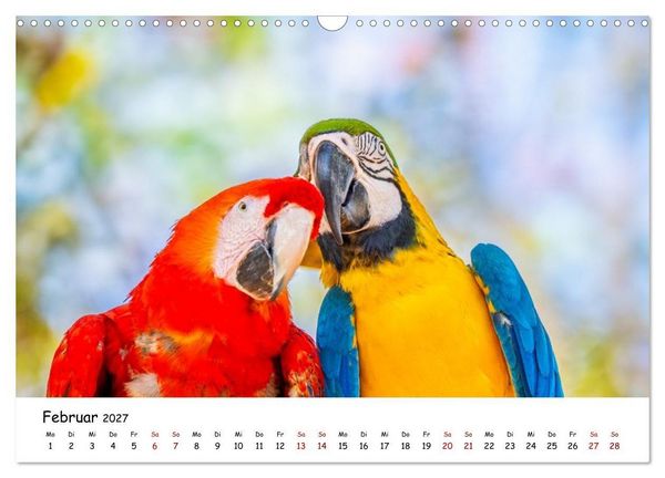 Produktbild: Aras und bunte Sittiche: Exotische Papageien-Portr&auml;ts (Wandkalender 2027 DIN A3 quer), CALVENDO Monatskalender