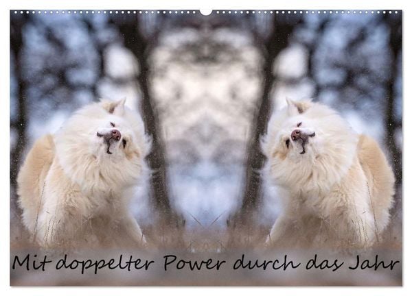 Produktbild: Mit doppelter Power durch das Jahr (Wandkalender 2026 DIN A2 quer), CALVENDO Monatskalender