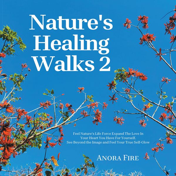 Produktbild: Nature's Healing Walks 2