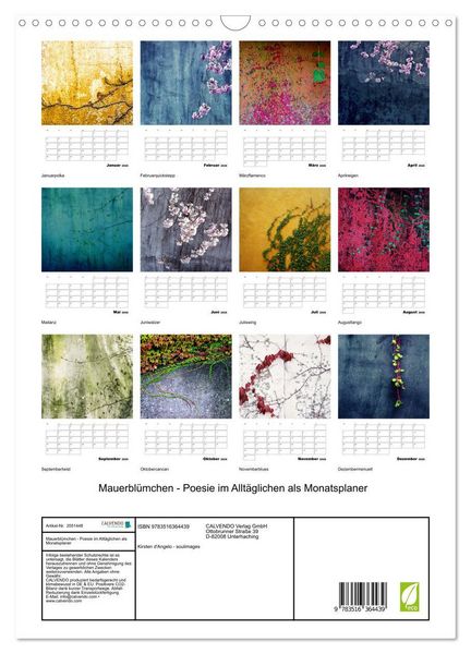 Produktbild: Mauerbl&uuml;mchen - Poesie im Allt&auml;glichen als Monatsplaner (Wandkalender 2026 DIN A3 hoch), CALVENDO Monatskalender